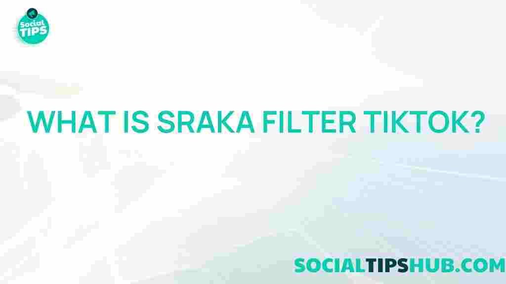 sraka-filter-tiktok