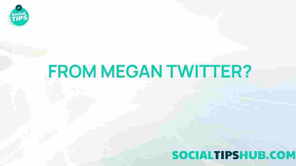 uncovering-megans-twitter
