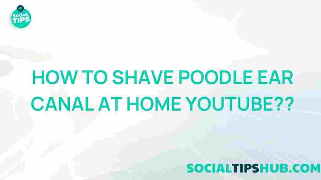 poodle-ear-canal-shaving-tutorial