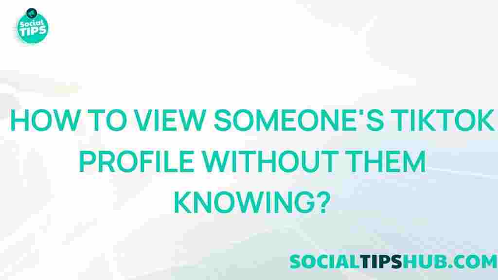 view-tiktok-profile-secretly